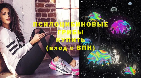 apvp Новодвинск