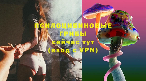 крисы Алексин