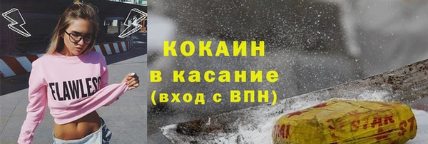 крисы Алексин