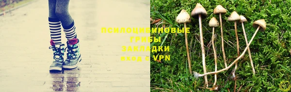 первитин Алексеевка