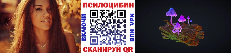 наркота  дарк нет наркотические препараты  Псилоцибиновые грибы Psilocybe  Сосенский 